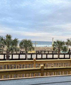 Ocean View Balcony Ocean View Balcony