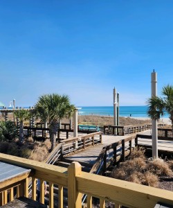 Ocean View Balcony Ocean View Balcony