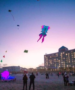 Ocean View Kites Ocean View Kites
