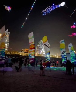 Ocean View Kites Ocean View Kites